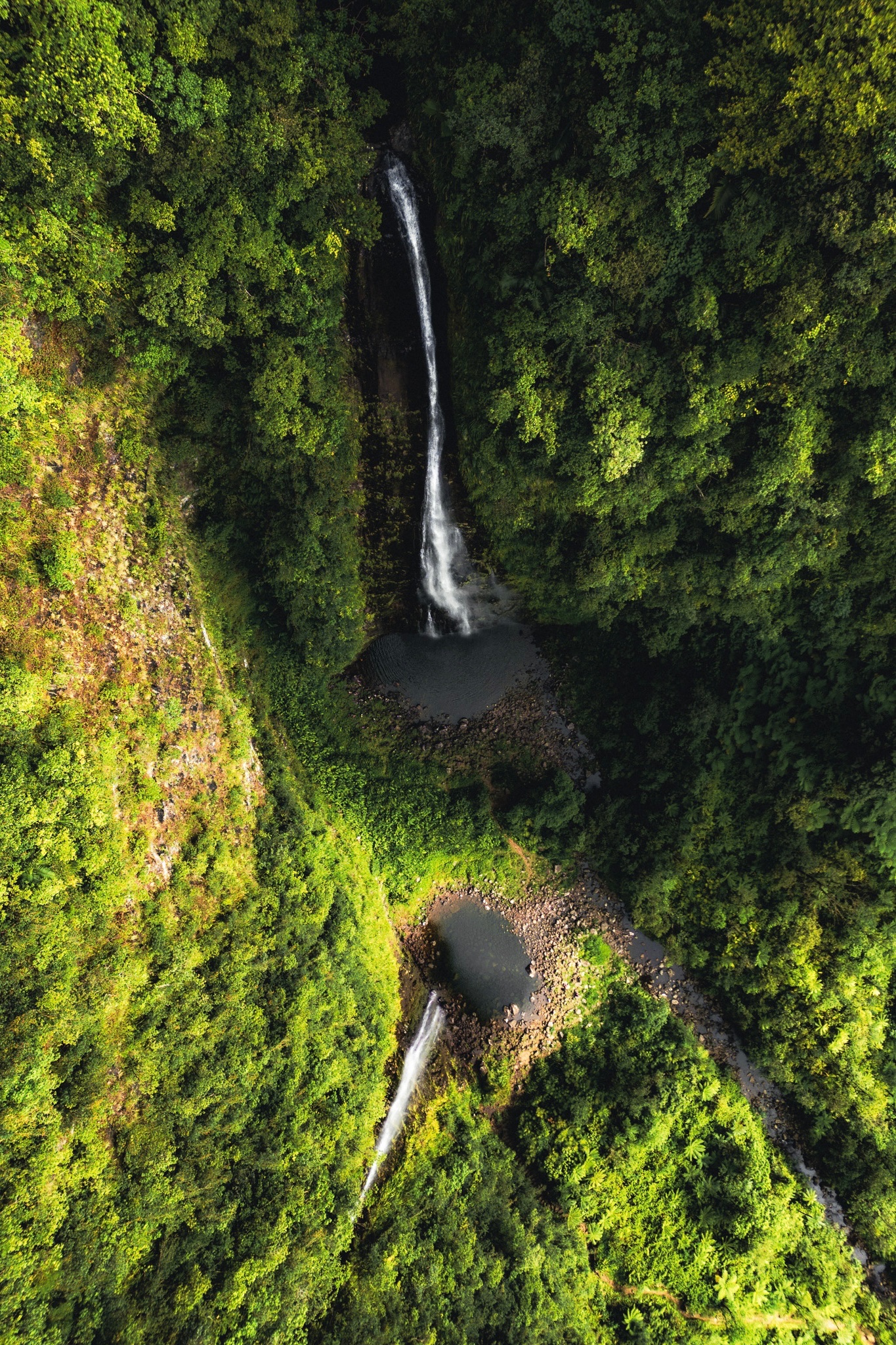 A tall waterfall dropping into dark pools in dense tropical forest viewed from above on Réunion Island