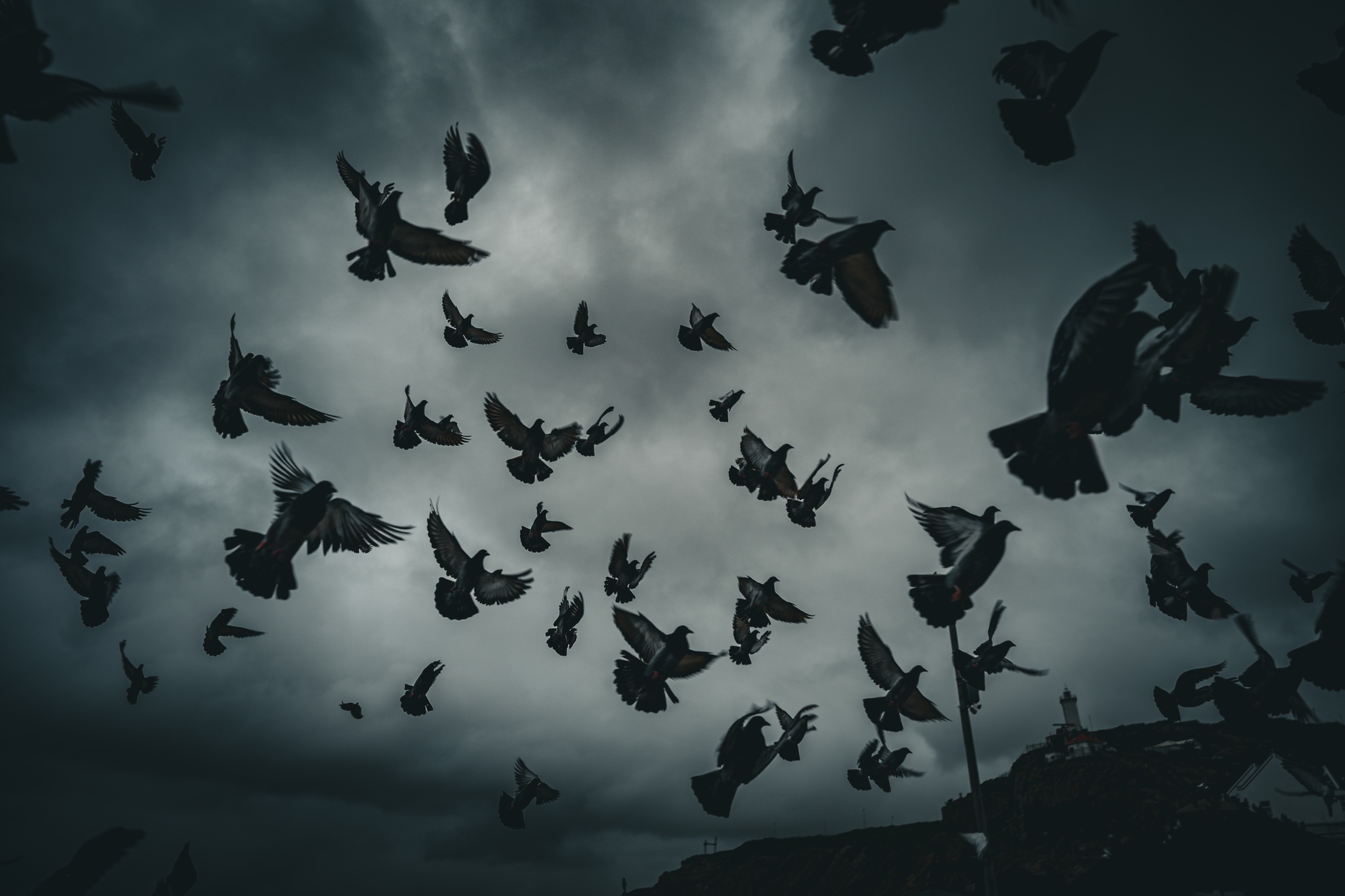 Dozens of doves silhouetted in flight across a dark cloudy sky