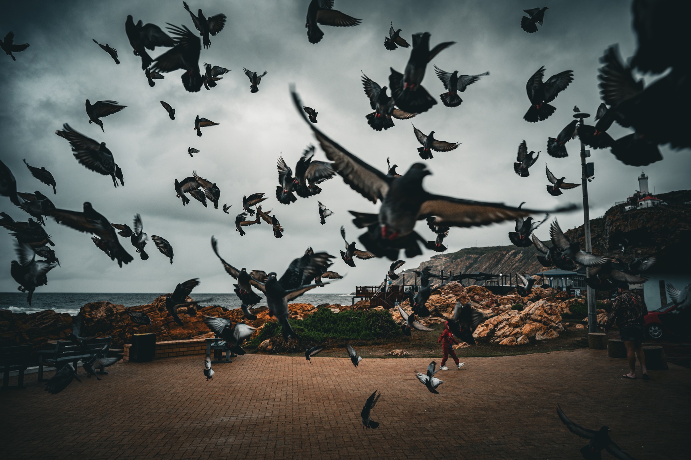A large flock of doves taking flight above the rocky shoreline at The Point in Mossel Bay beneath heavy grey clouds