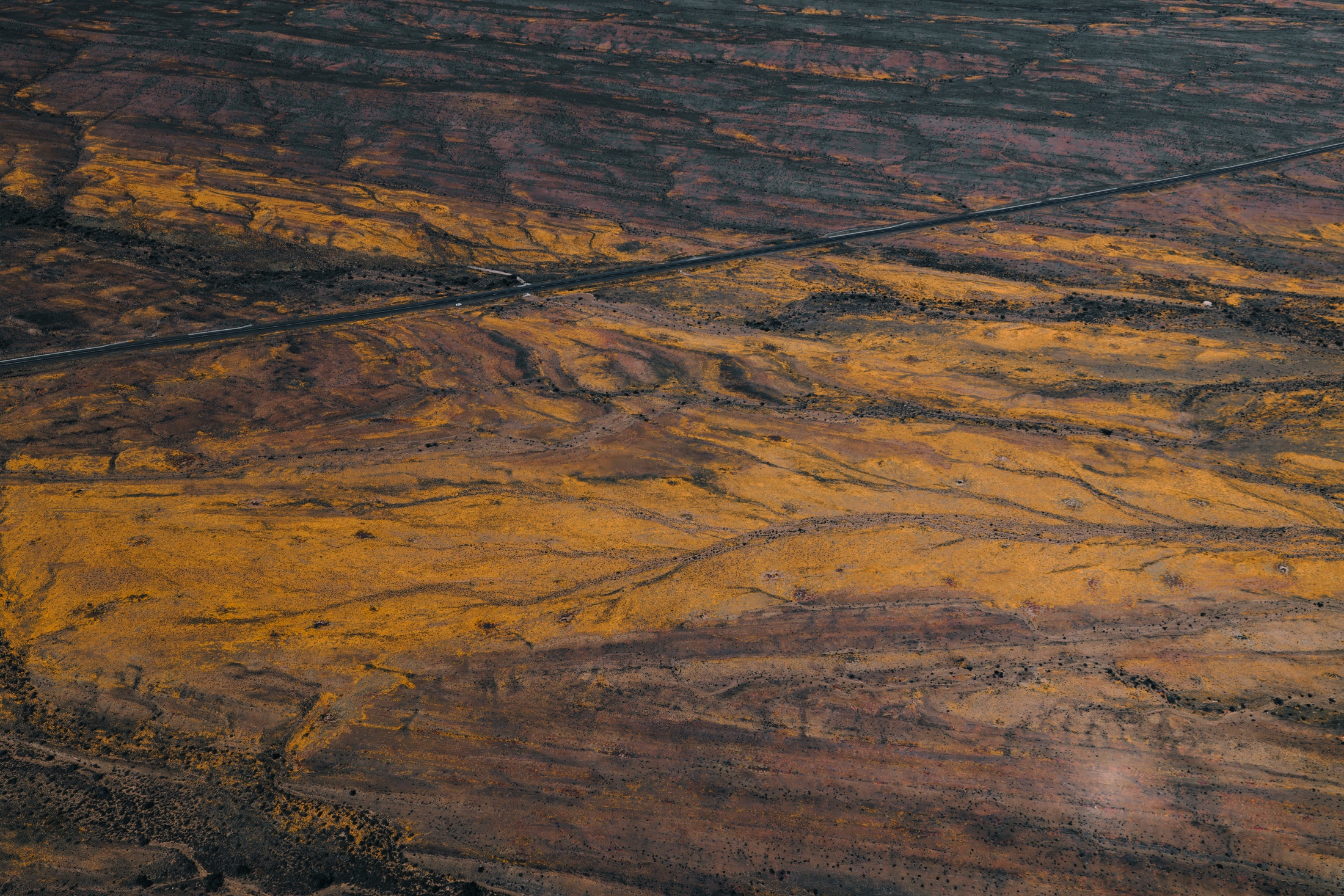Aerial view of a road crossing an open landscape with broad patches of yellow flowers and exposed earth
