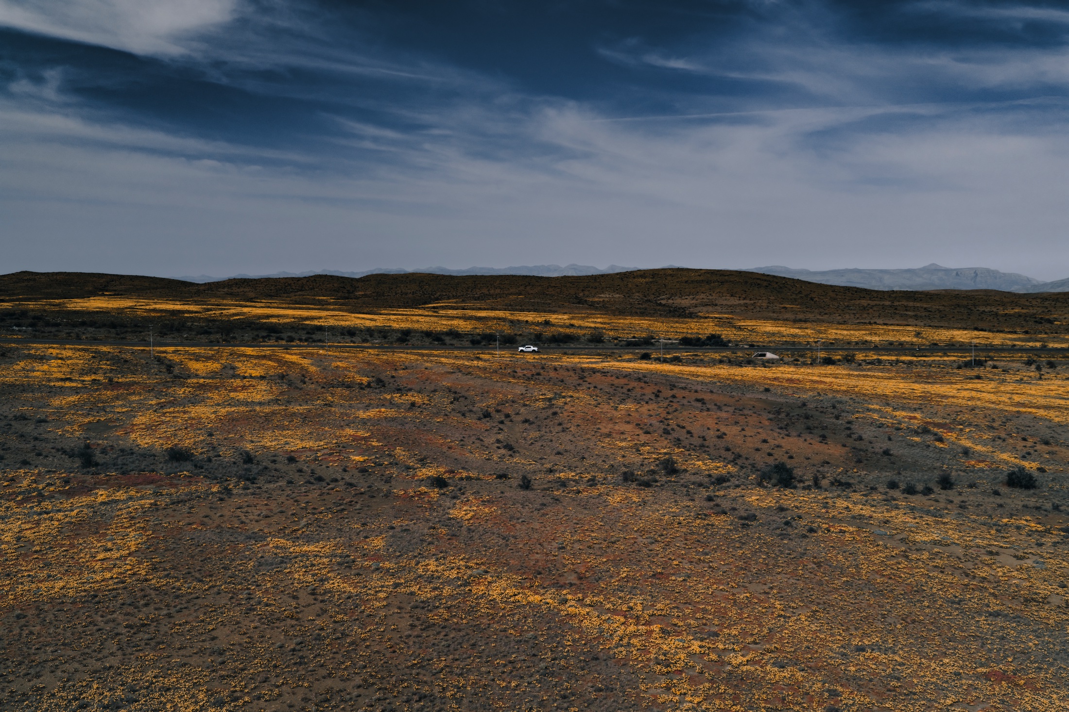 A white vehicle on a road across open scrubland patterned with yellow flowers beneath a blue-grey sky